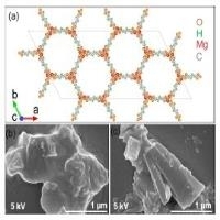 Investigation on the optical nonlinearity of the layered magnesium 